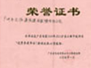 广东电信2004年ADSL扩容工程
